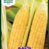 90675_sweetcorn_sweet_nugget_f1_litlagardbudin