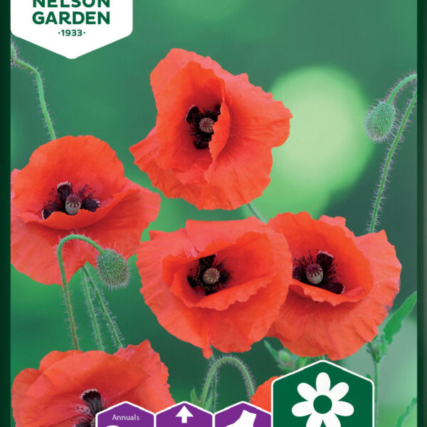 95761_papaver_rhoeas_image_1 95761_papaver_rhoeas_image_1