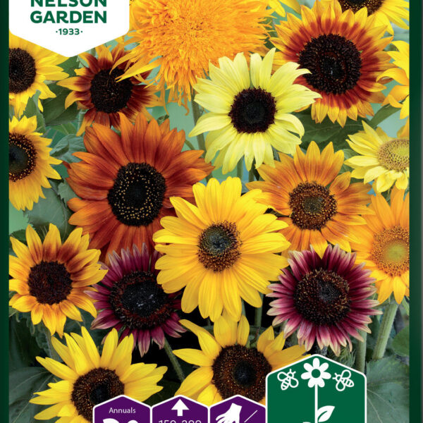 95244_helianthus_wilde_mixture_litlagardbudin 95244_helianthus_wilde_mixture_litlagardbudin