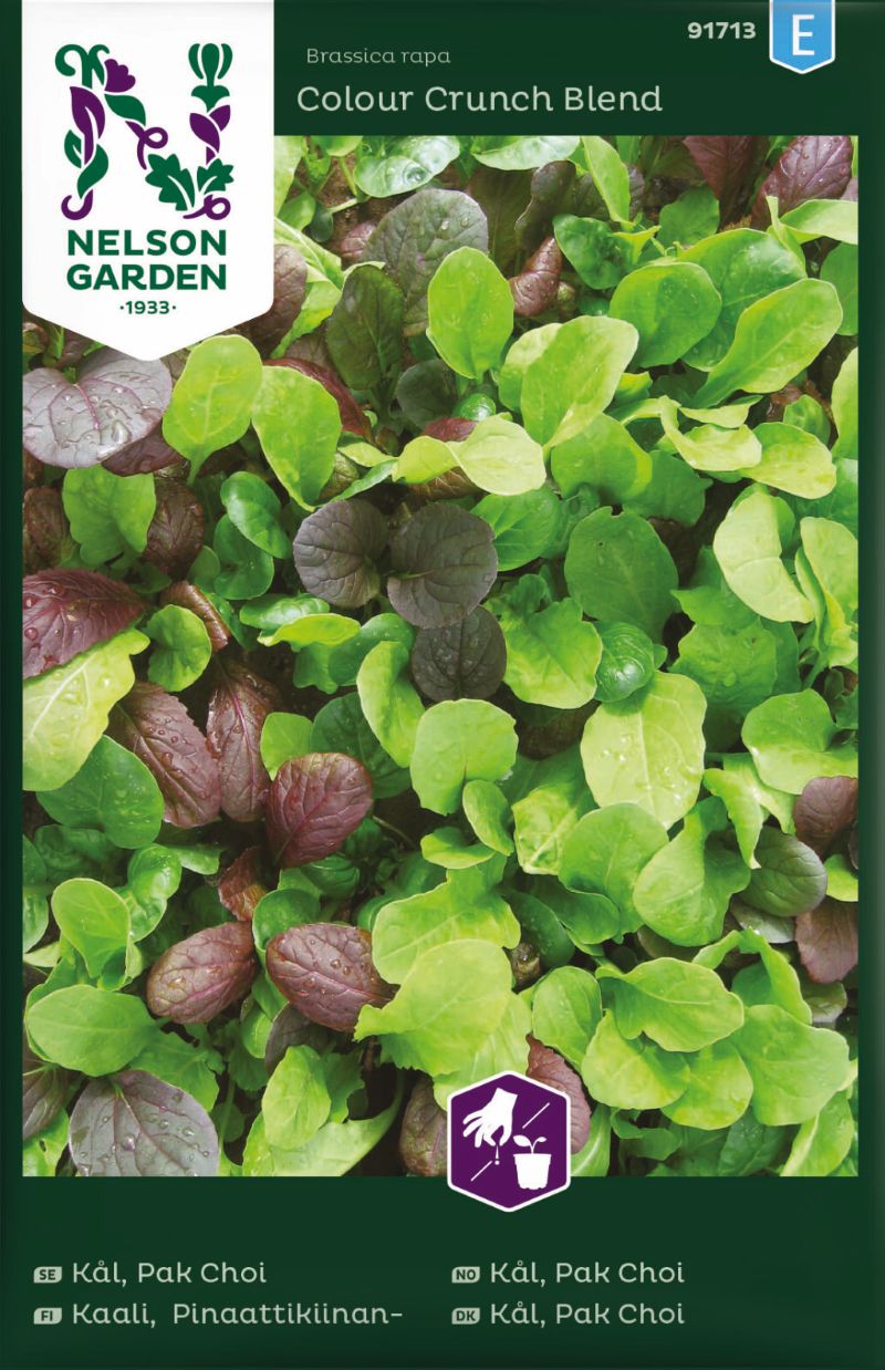 91713_pak_choi_litlagardbudin 91713_pak_choi_litlagardbudin