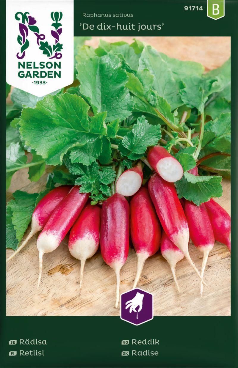 91714_radish_de_dix_huit_jours_image_litlagardbudin 91714_radish_de_dix_huit_jours_image_litlagardbudin
