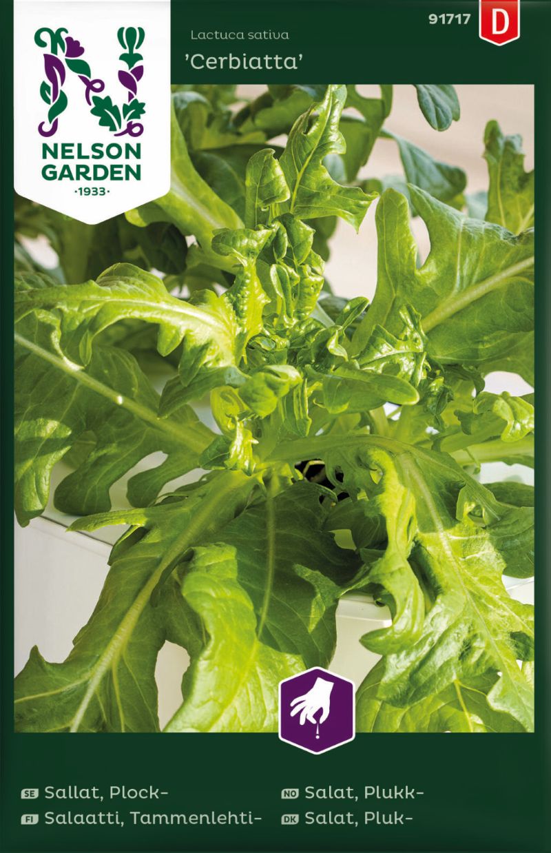 91717_lettucecerbiatta_litlagardbudin 91717_lettucecerbiatta_litlagardbudin