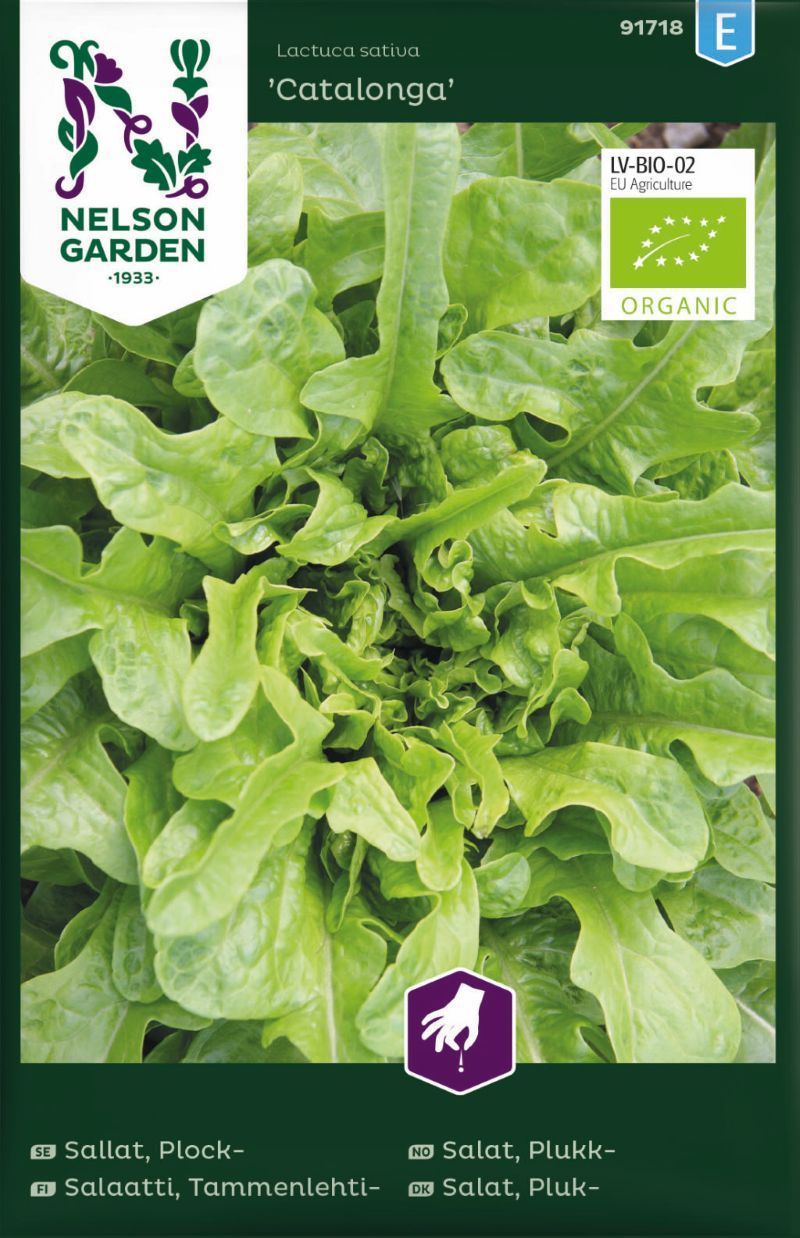 91718_lettucecatalonga_organic_litlagardbudin 91718_lettucecatalonga_organic_litlagardbudin
