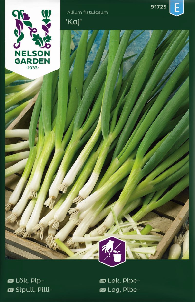 91725_onion_welsh_kaj_litlagardbudin 91725_onion_welsh_kaj_litlagardbudin