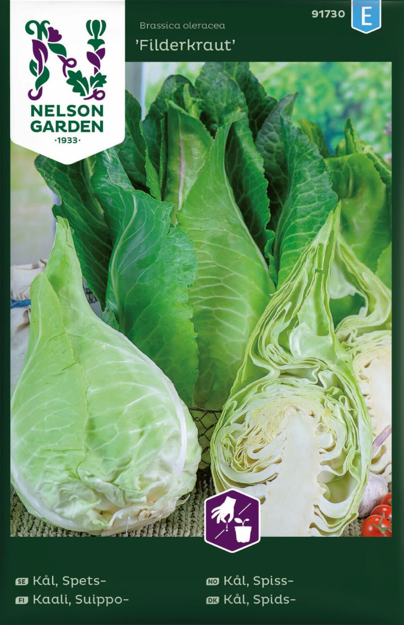 91730_cabbagefilderkraut_litlagardbudin 91730_cabbagefilderkraut_litlagardbudin