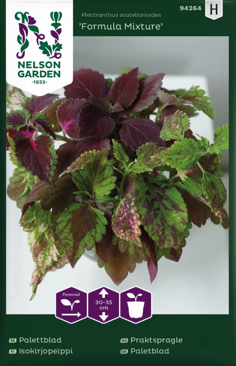 94264_coleus_formula_mixture_litlagardbudin 94264_coleus_formula_mixture_litlagardbudin
